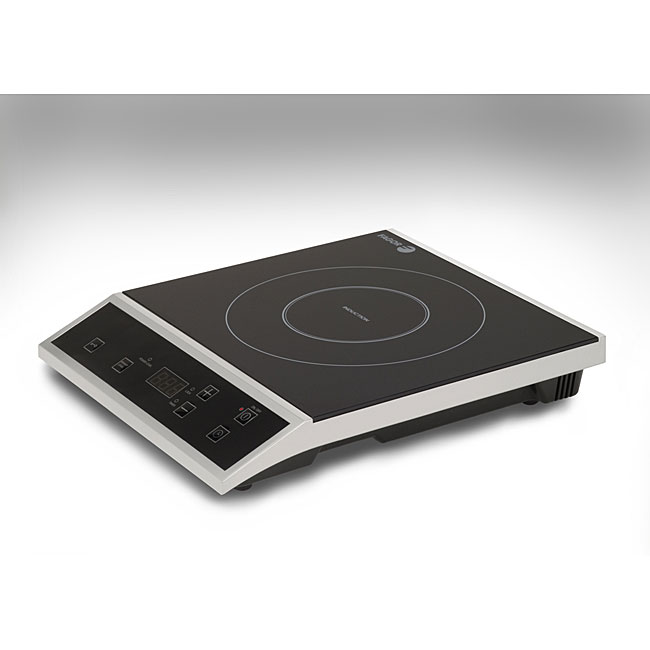 fagor countertop induction burner