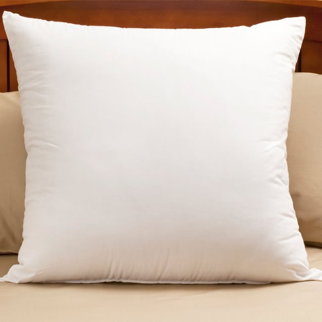 Euro Square Pillows (Set of 2)  