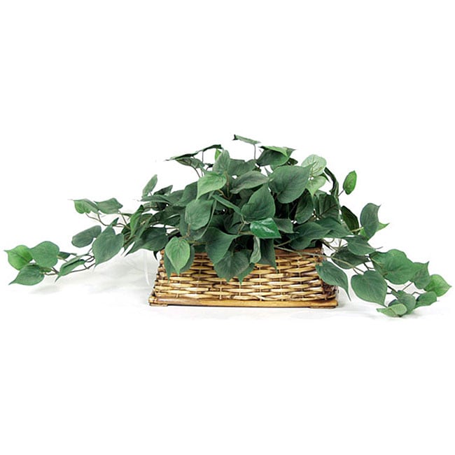Frosted Foliage Ledge Silk Plant (Pack of 2)  