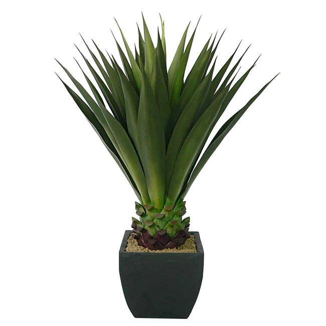 Laura Ashley 43 inch Artificial Aloe Plant  