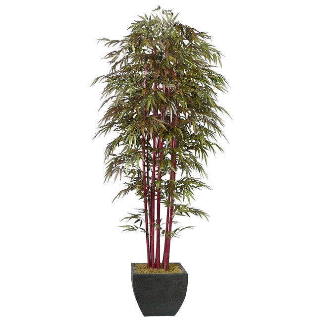 Laura Ashley Realistic 8 Artificial Bamboo Tree (8 footLow maintenance artificial plantGreat for use in home or officeFully assembled dimensions 28 inches wide x 96 inches high x 28 inches deep )