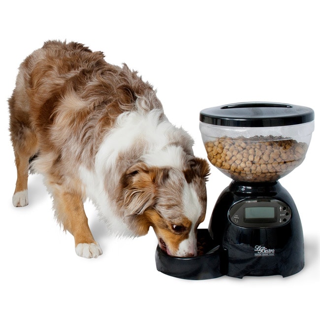 Petmate LeBistro 10 pound Portion Control Feeder  