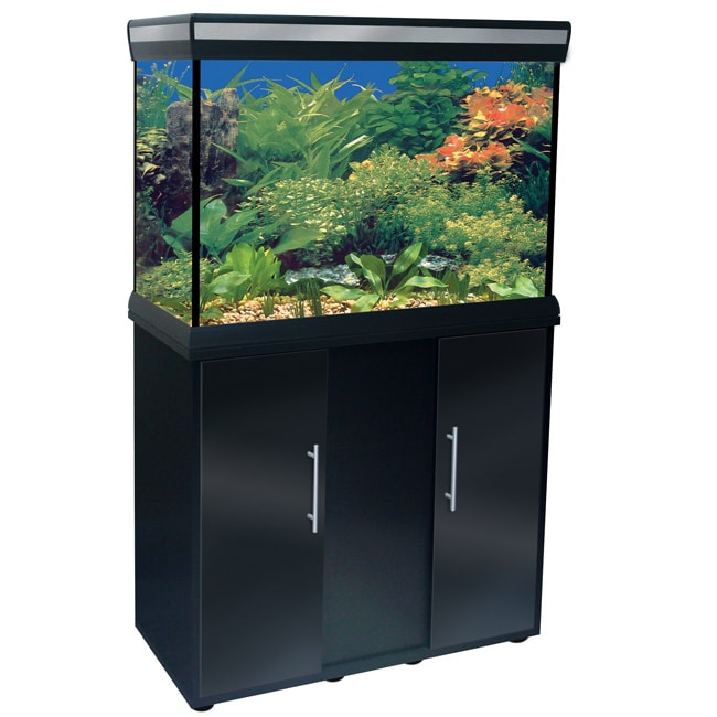 Delta Queen 29-gallon Black Aquarium and Stand - 13471149 - Overstock ...