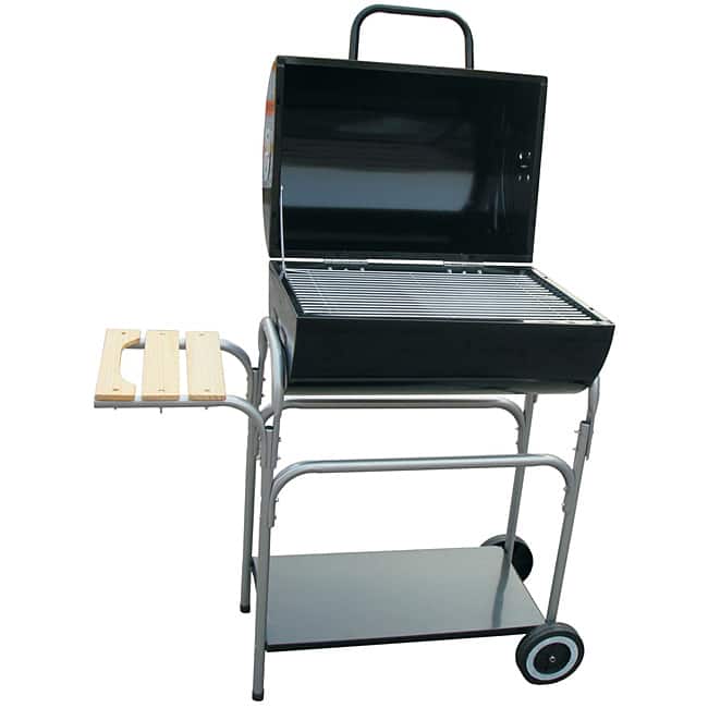 Ragalta 23x15-in Family Charcoal Grill