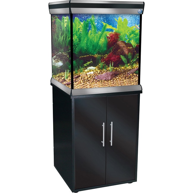 Empress Cube 37-gallon Aquarium and Stand - L13524362