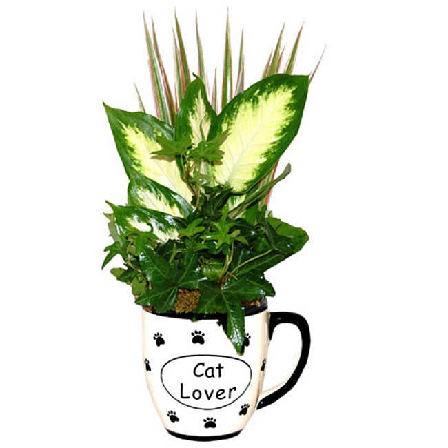 Tropical Plants Cat Lover Ceramic Planter  