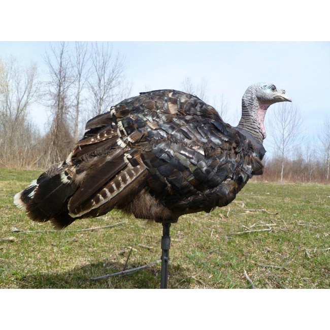 Way Turkey Decoy Cover  