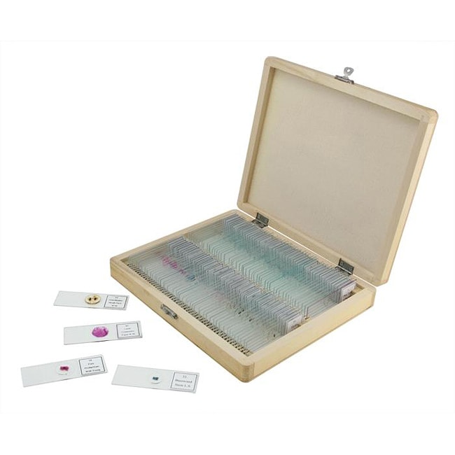 Celestron 100 Prepared Clear Glass Microscope Slides in Wooden Case