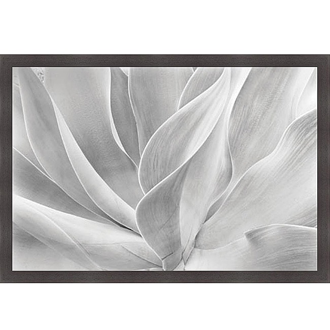 Chris Honeysett White Agave Framed Print Art  