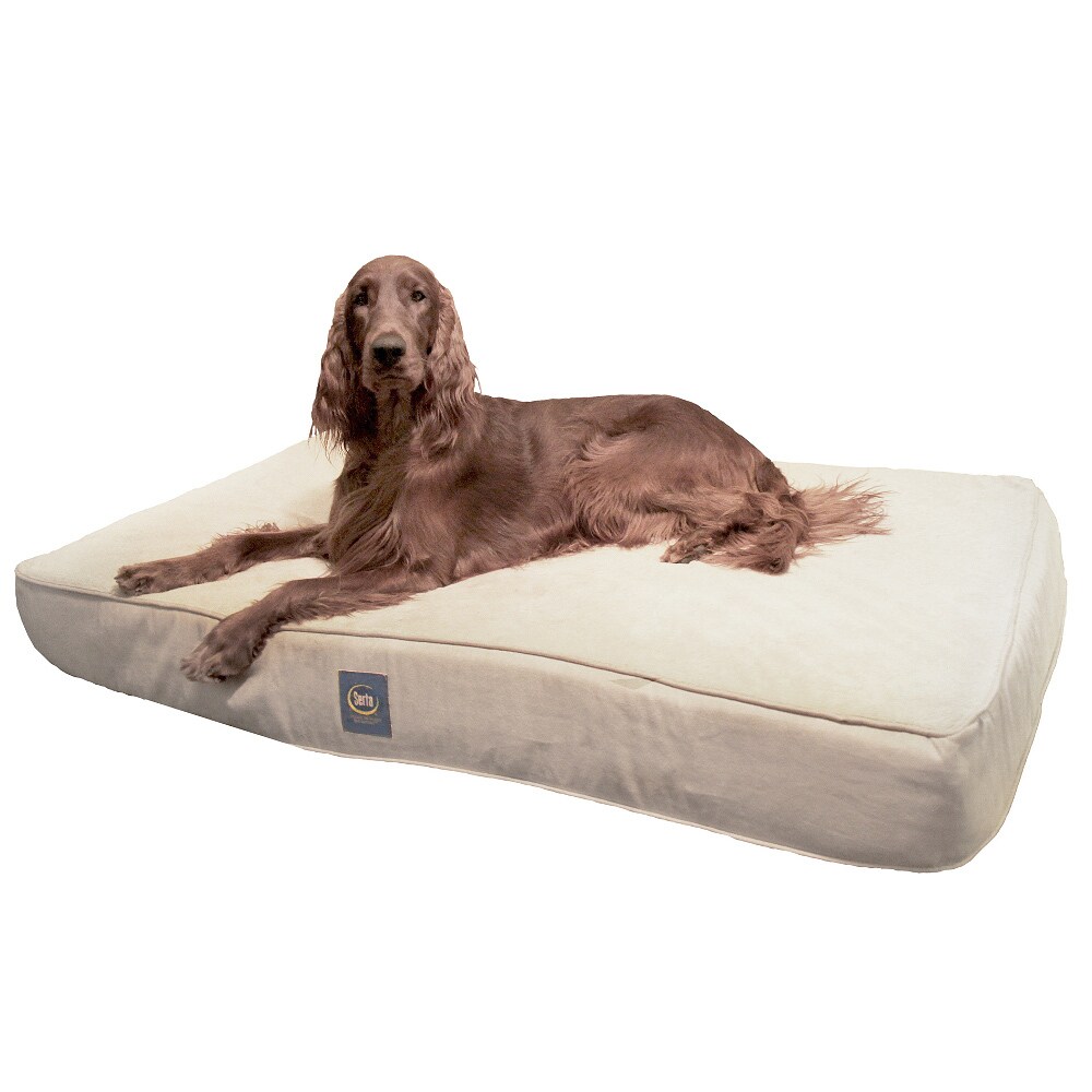 Shop Serta True Response Memory Foam Pet Bed Large Free Shipping Today 6204733