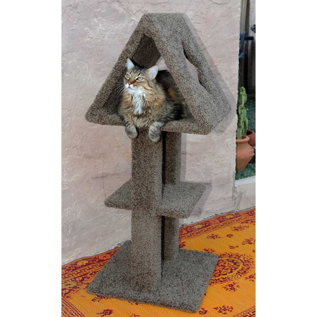 New Cat Condos Triangle Cat Perch Today 