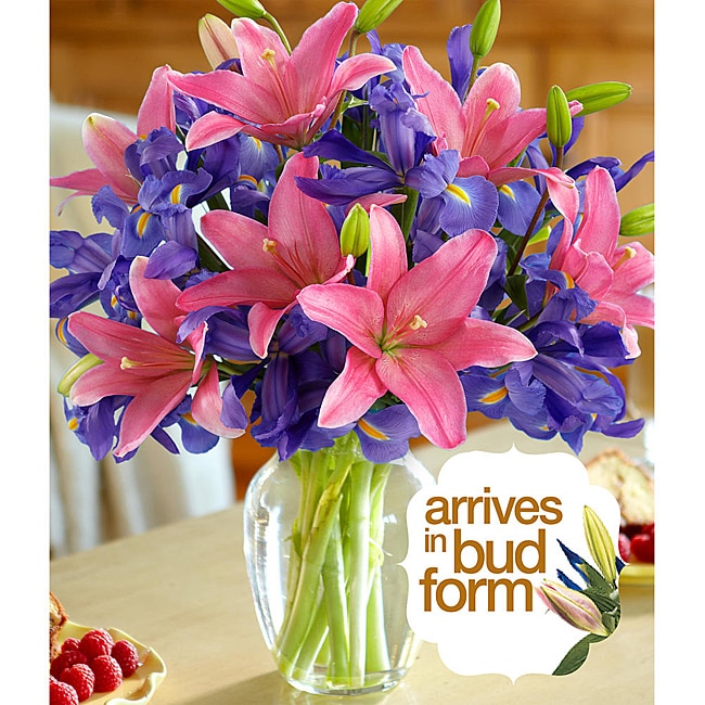 Bouquet of Peruvian Lilies (200 Blooms)  