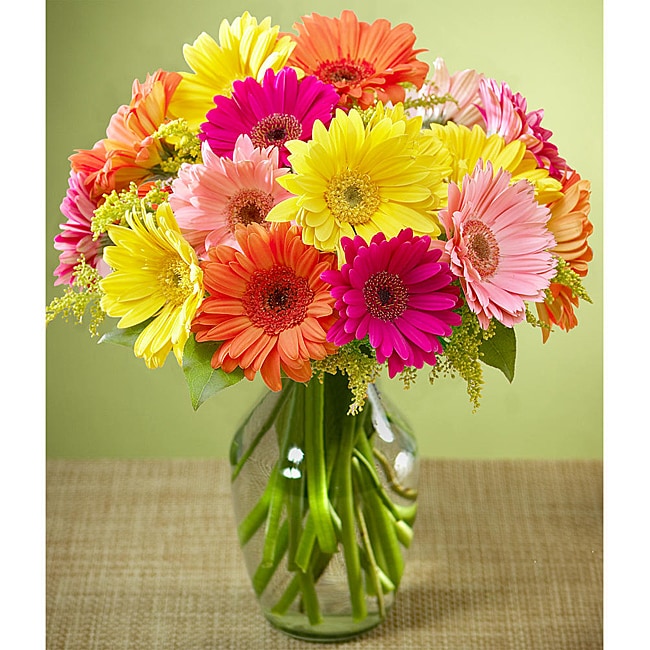 Fresh Flowers   Buy Tropical Bouquets, Mixed Bouquets 