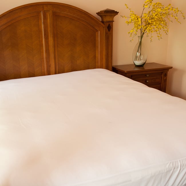 Twin XL-size Dorm Bed Bug Cover Protector - White