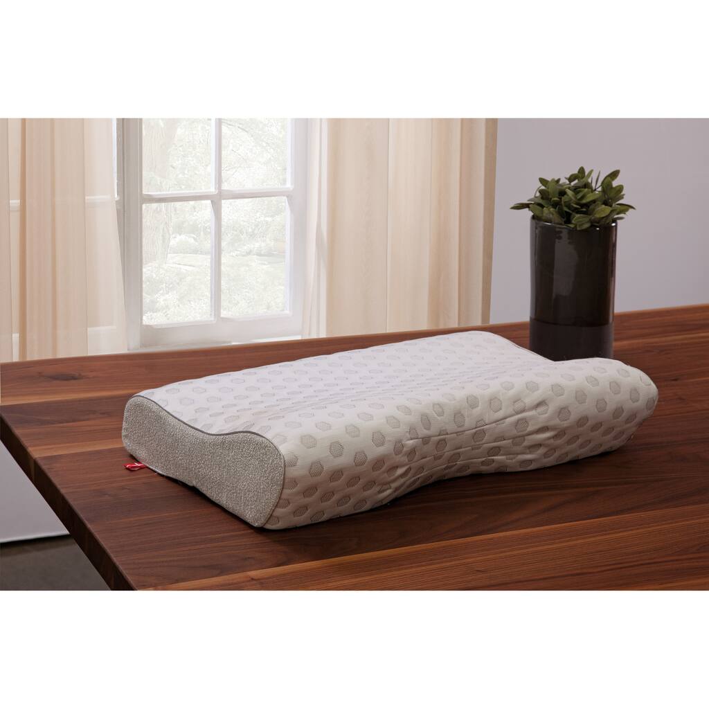 Danican Cool Pointe Suscipio Memory Foam Contour Pillow