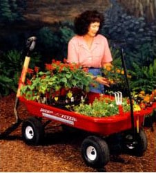 Radio Flyer Wagon-Barrow Utility Wagon