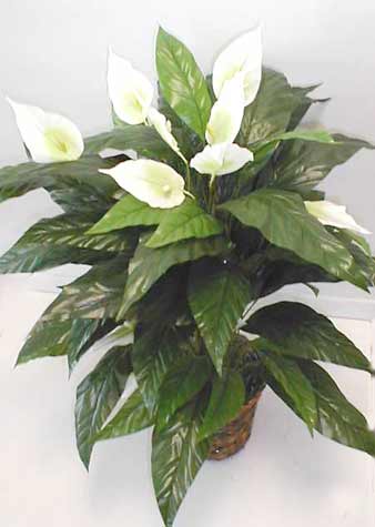 Peace Lily Double-potted Silk Plant - Free Shipping On Orders Over $45 ...