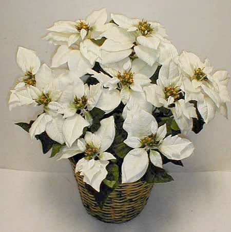 Large Potted White Silk Poinsettia Bush - Free Shipping On Orders Over ...