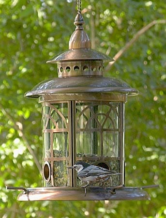 Shop Nicholas Cole Avalon Bird Feeder Overstock 472757