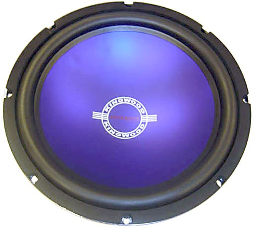 dual 12 inch subwoofer 1000 watt