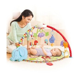 fisher price luv u zoo mobile