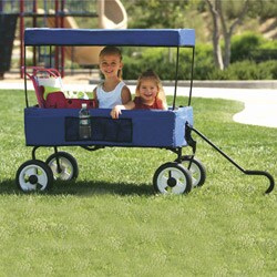 fold n go wagon