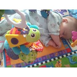 lamaze flutterbug