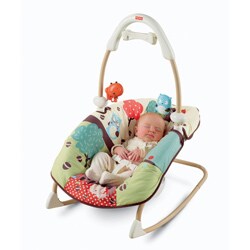 fisher price 2 in 1 swing and rocker