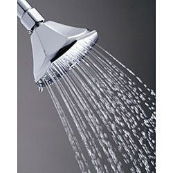 Chrome 4 inch Shower Head w/ Shower Arm  