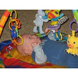 lamaze flutterbug
