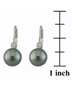 14k Tahitian Cultured Pearl Earrings (8 9mm)