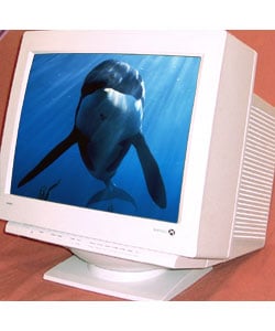 Gateway 19-inch CRT Monitor 