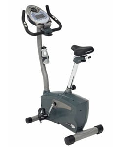 Schwinn 113 Upright Exercise Bike