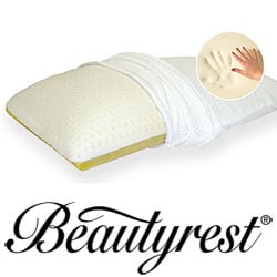 Beautyrest pillows bed hot sale bath and beyond