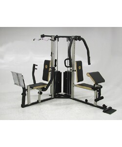 Gold's Gym XR 66 Weight System - Free Shipping Today - Overstock.com