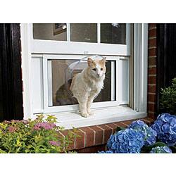 Shop Cat Windoor Free Shipping Today Overstock 3679845