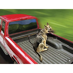 dog truck tether