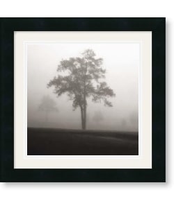 preview thumbnail 1 of 1, Jamie Cook 'Fog Tree Study I' Framed Art Print
