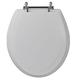 chrome toilet seat