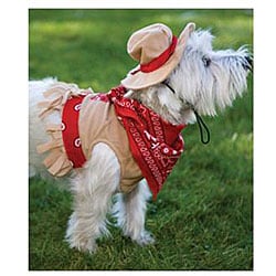 cowgirl dog costume