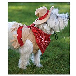 Cowgirl on sale dog costume