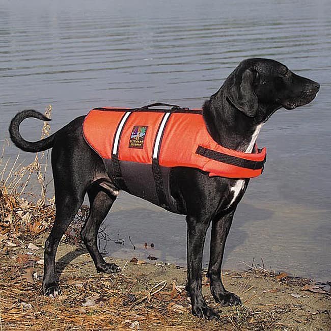 Outward Hound Dog Life Jacket 