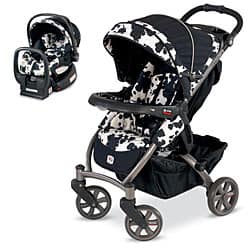 britax cow print infant car seat