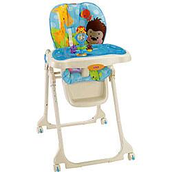 Shop Fisher Price Precious Planet Blue Sky High Chair Overstock