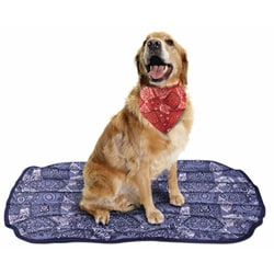 Bed bath and beyond pet cooling mat sale