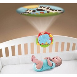 fisher price crib soother