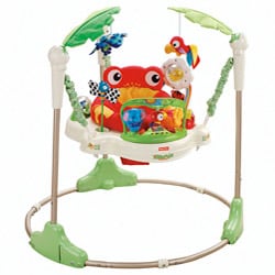 buy fisher price jumperoo