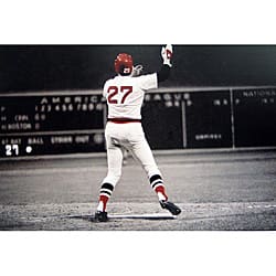 Carlton Fisk Art Print