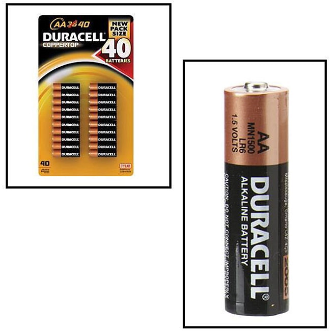 Shop Duracell Coppertop AA Alkaline Batteries (Case of 40