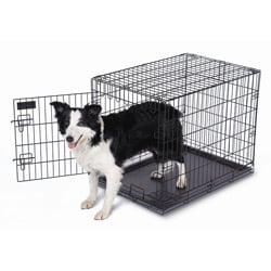 petmate wire kennel